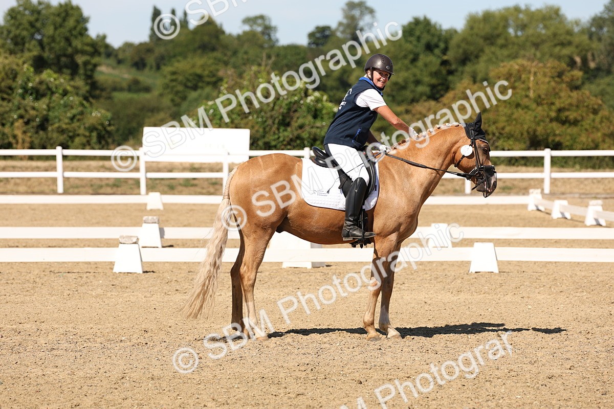 SBM_003681 - Elementary 4