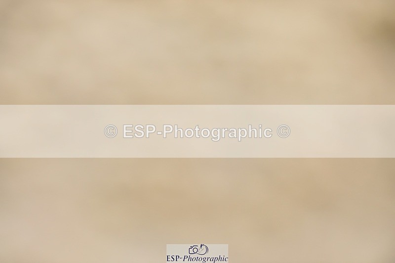 250622-123744-14567 - Quest Cls 31-35 Novice Tests