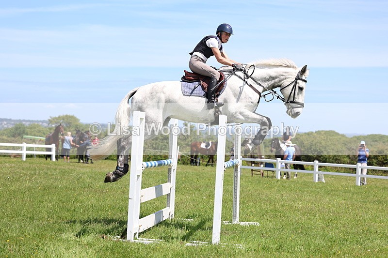 3E7A1231 - Class 12: Senior Foxhunter/1.20 open