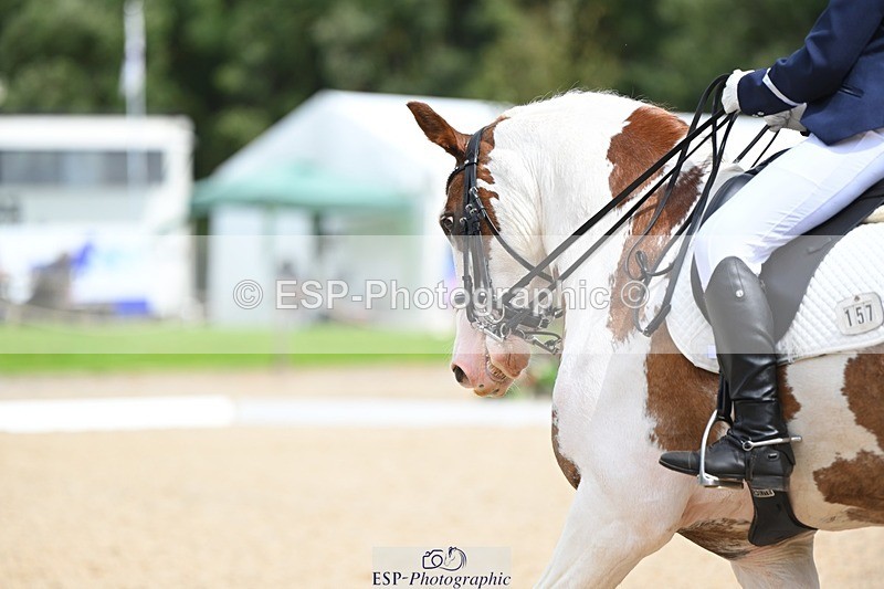 230813-123637-07105 - Cls 13 Medium Bronze Start to 13.00 break