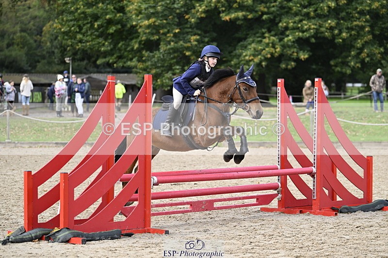 251005A-121244-03651 - Cls 08 Mini 70-75cm