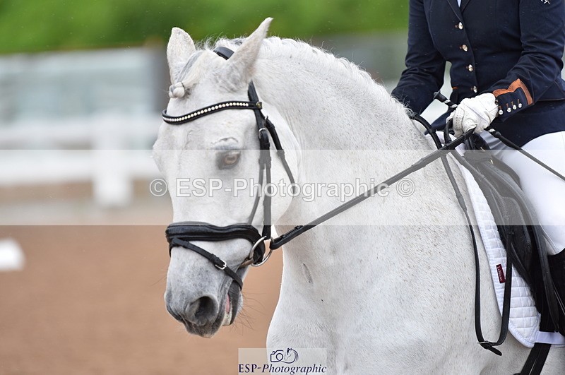 230511A-122740-00563 - BD Cls 8 Elementary 59