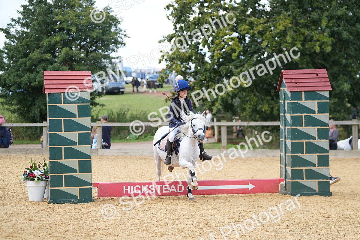 SBM_64371 - J2 - Mini Tour Junior Pony 30cm Championship