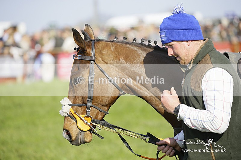 PtP 200322 419 - Mendip Farmers Point-to-Point 20/03/22