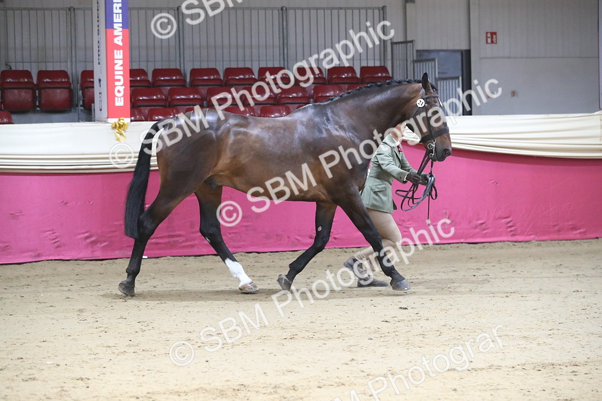 SBM_00530 - class 2a Area IH Veteran