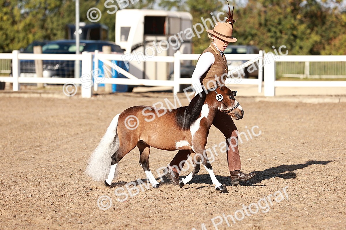 SBM_11390 - Class 402 - IH  Veteran pony