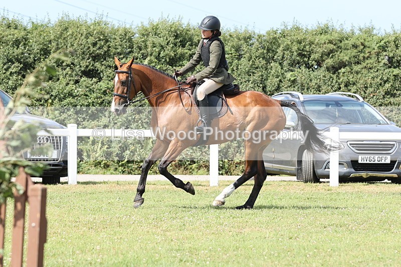 JPP_2370 - Class 19: Working Hunter 60cm