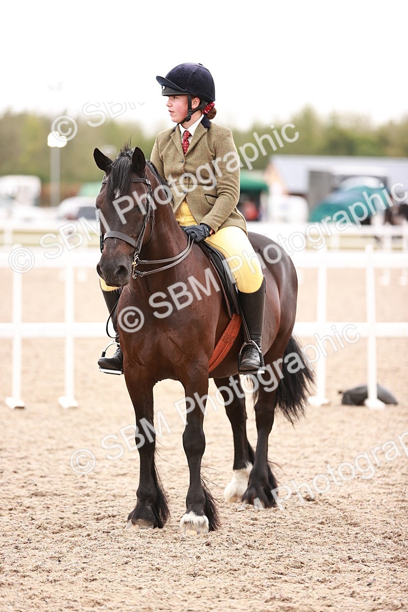 SBM_19070 - Class 422 - Ridden M&M