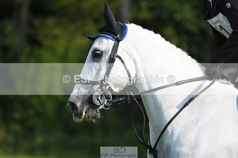 230625-090230-00019 - SJ 90cm 9.00 to 10.00