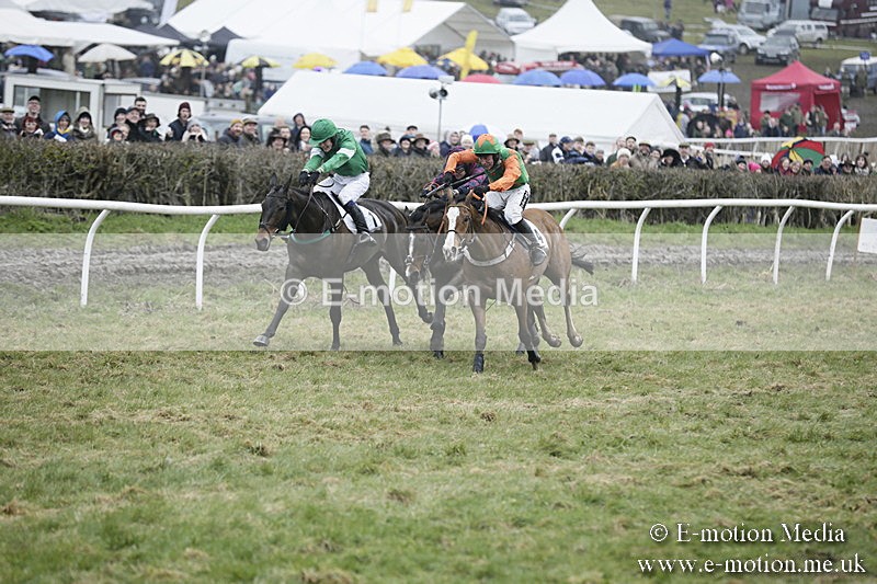 PtP 020418 -239 - Old Berks Point-to-Point Races Easter Monday 02/04/18
