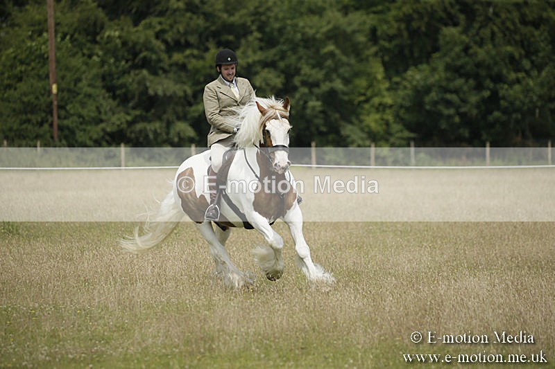 B230619-0453 - Bourne Valley Riding Club Summer Show 23/06/19