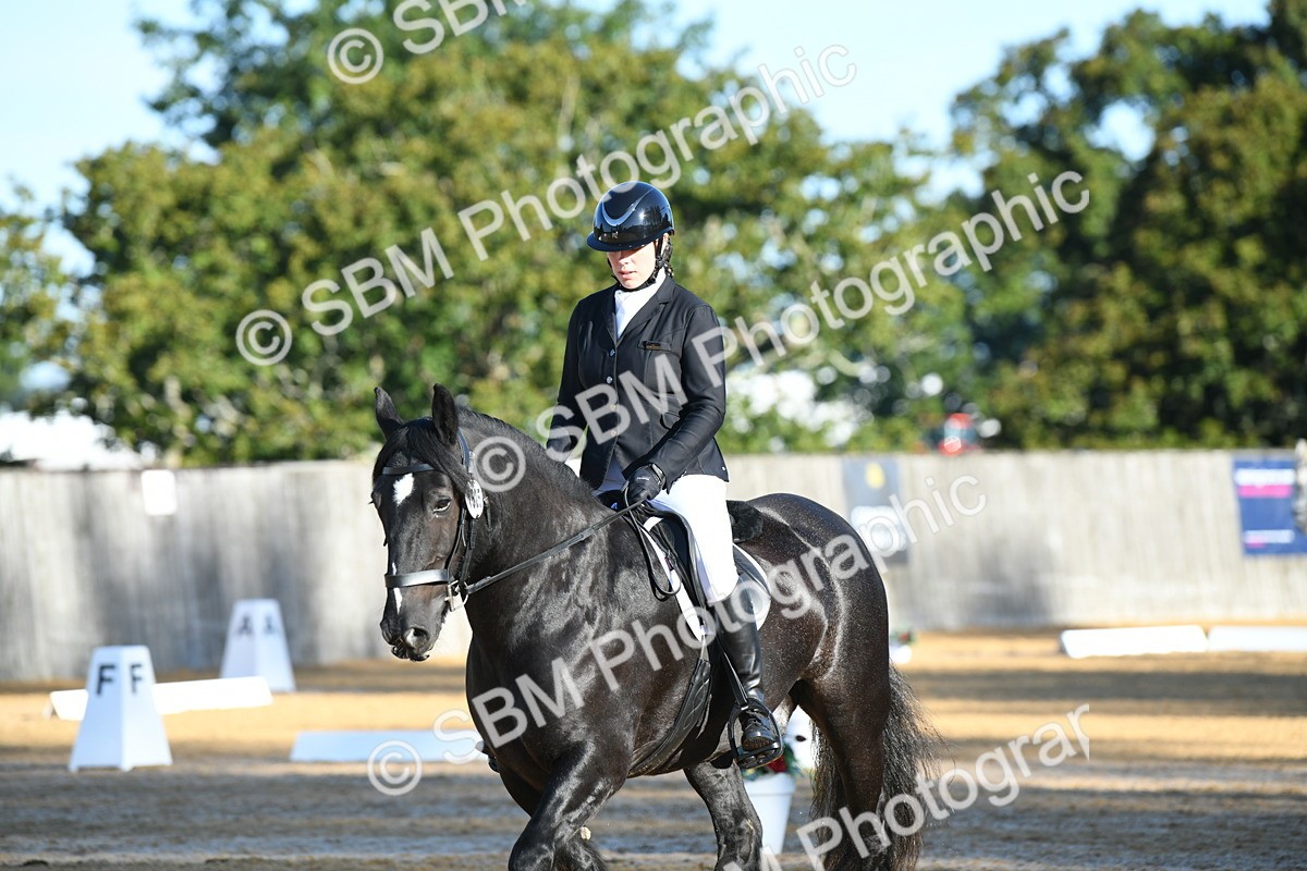 SBM_14505 - D4 - Small Tour Championship - Intro B