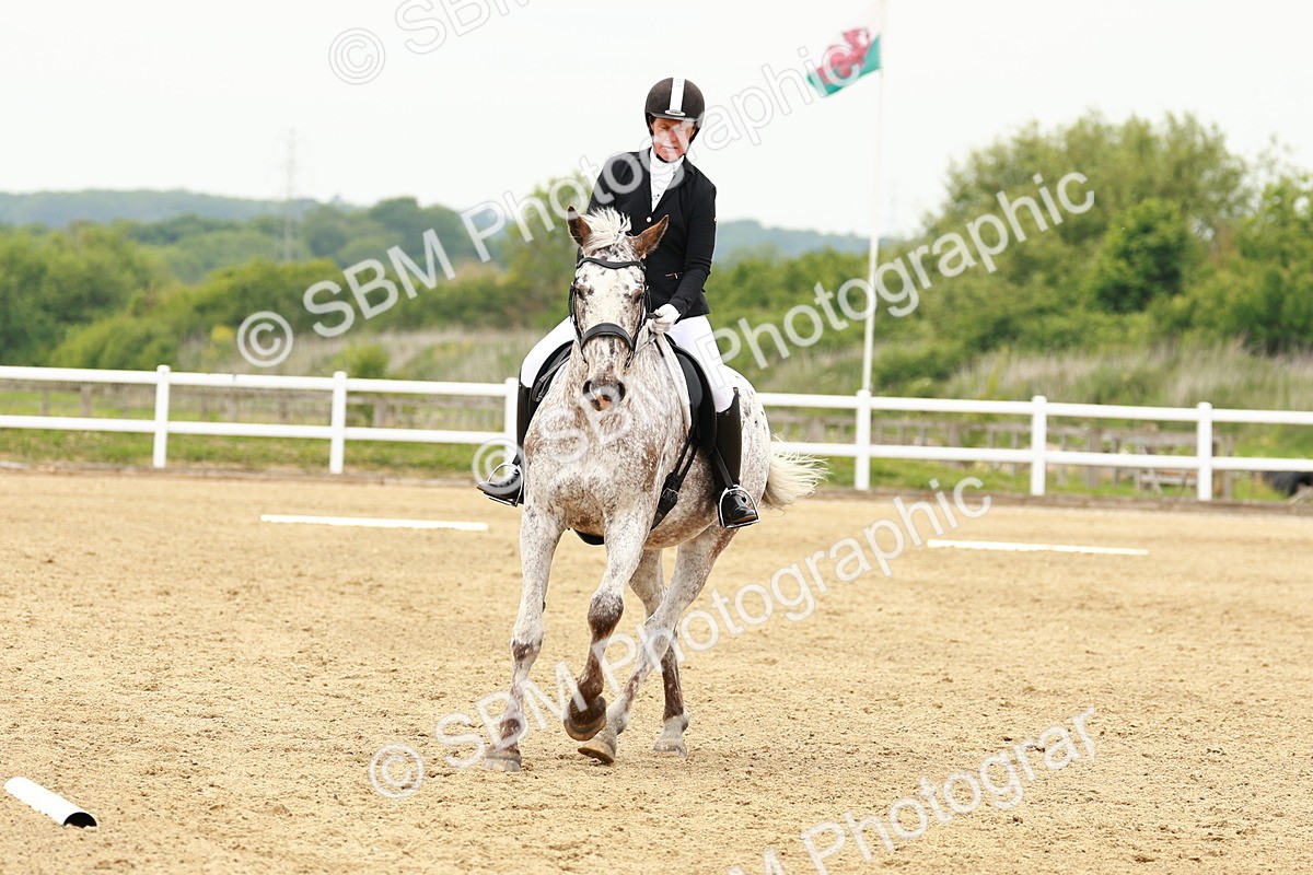 SBM_001271 - Class 7 - Novice 5