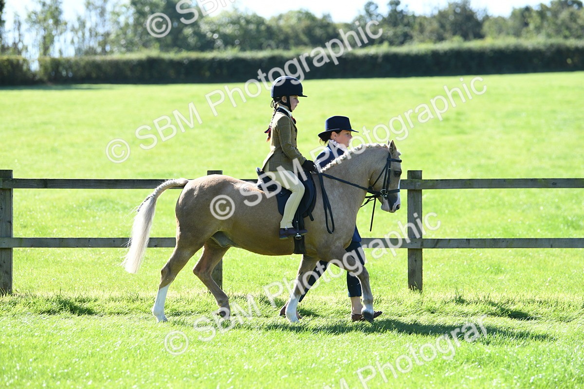 SBM_39540 - S18 - Novice & Newcomers Lead Rein Pony