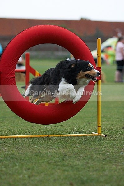  - Tendring Agility Group- St Osyth Summer Fete
