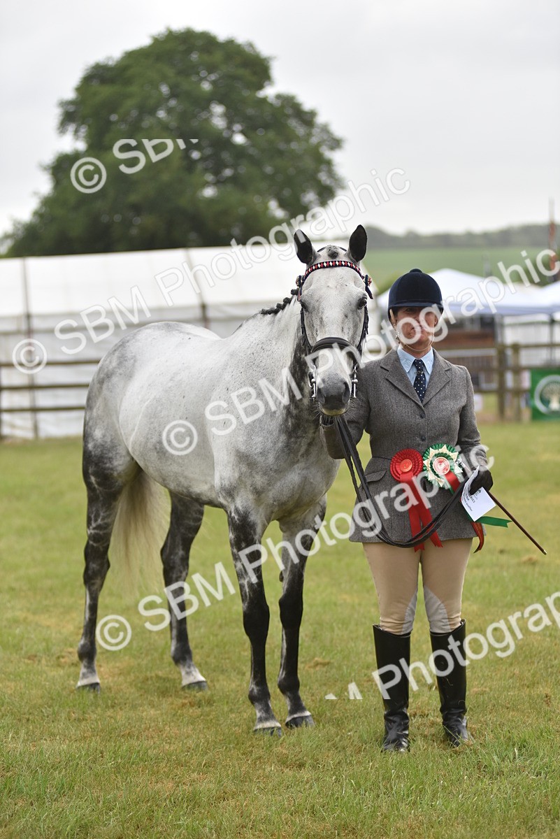 SBM_10671 - Class 109 - Retraining of Racehorses in Hand