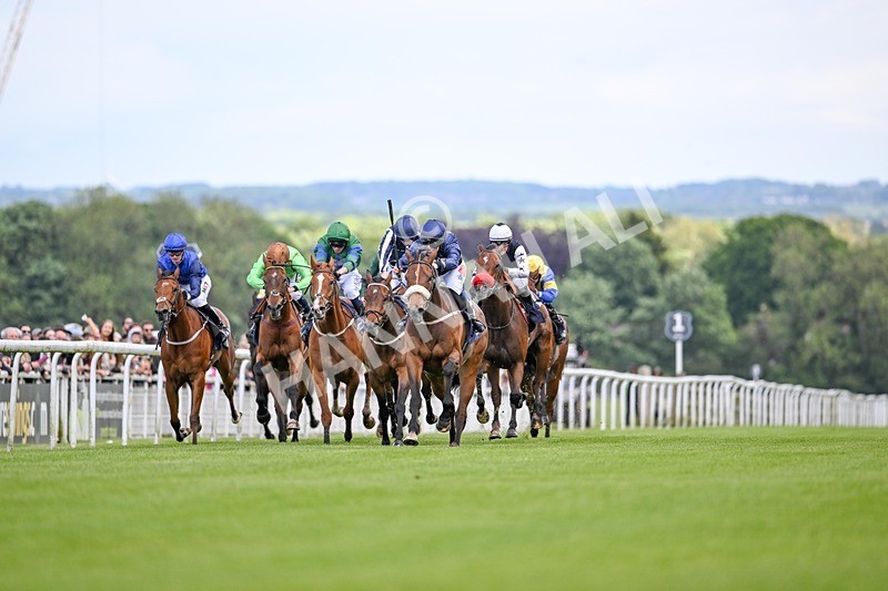 290524-Race 2-Powdering-6246 - Race 2