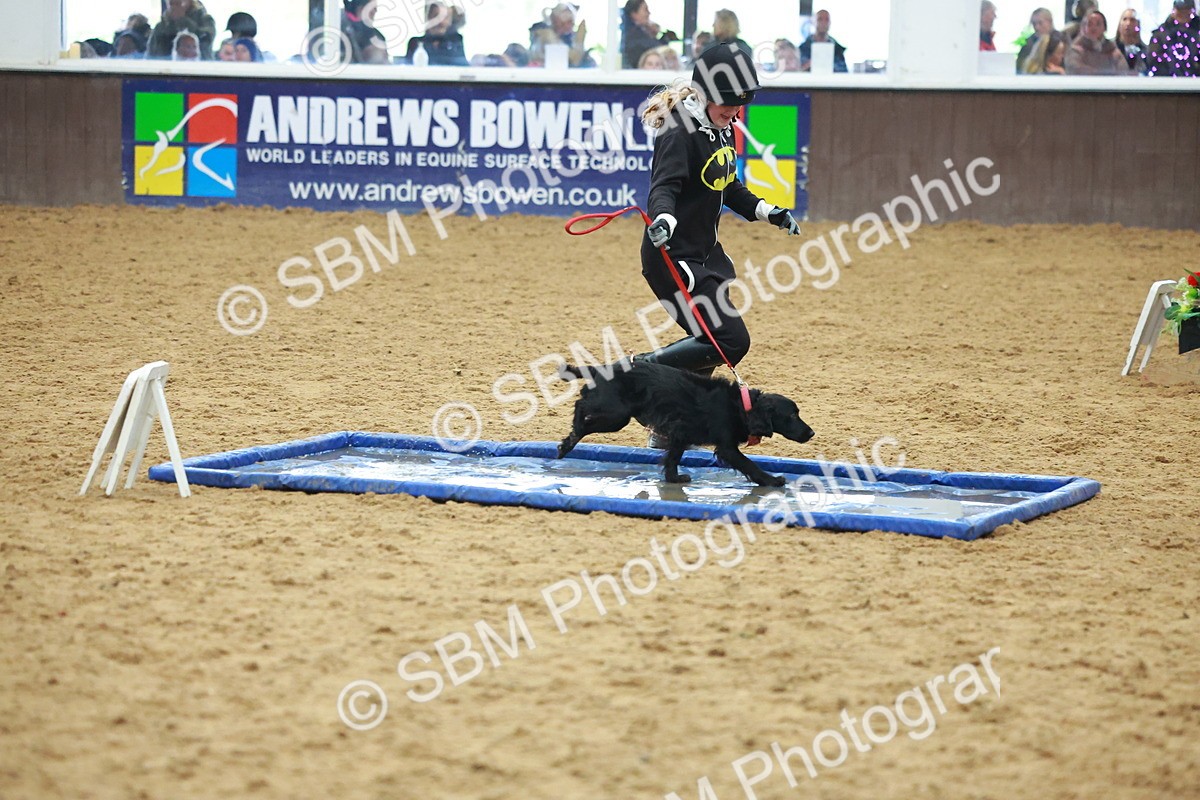 SBM_002485 - Class 3 - Horse & Hound (60cm)