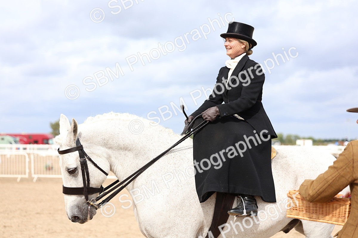 SBM_03466 - Class 24 - SSA Concours d'elegance (any age)