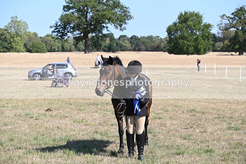 WJ6_7673 - Class 34 Judges Choice