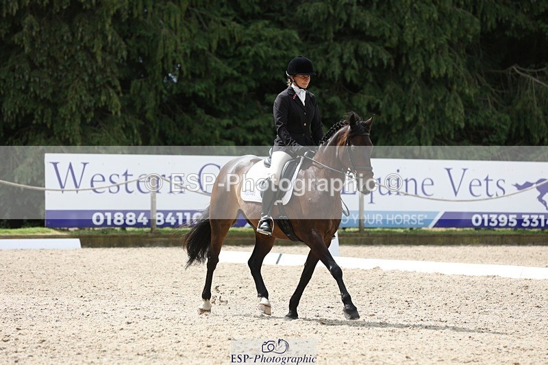 230812-121947-03978 - Cls 5 Novice Bronze 11.15 to 12.50 break