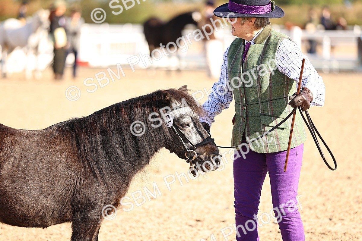 SBM_08511 - Class 402 - IH Veteran Pony