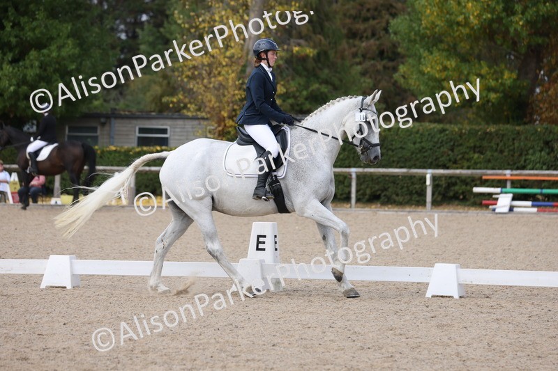 20250819-1480 - Class 4 - Novice 2