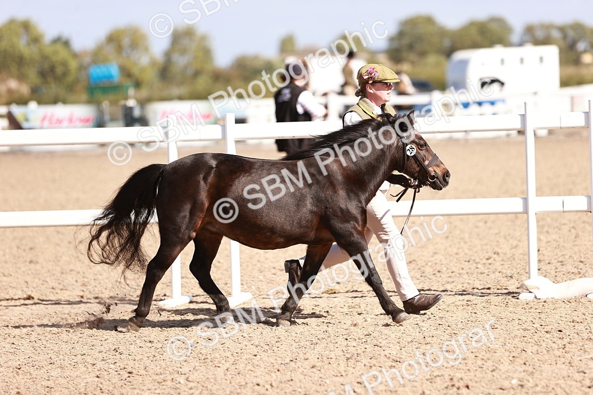 SBM_22962 - Class 707 - IH groom Helpers Class