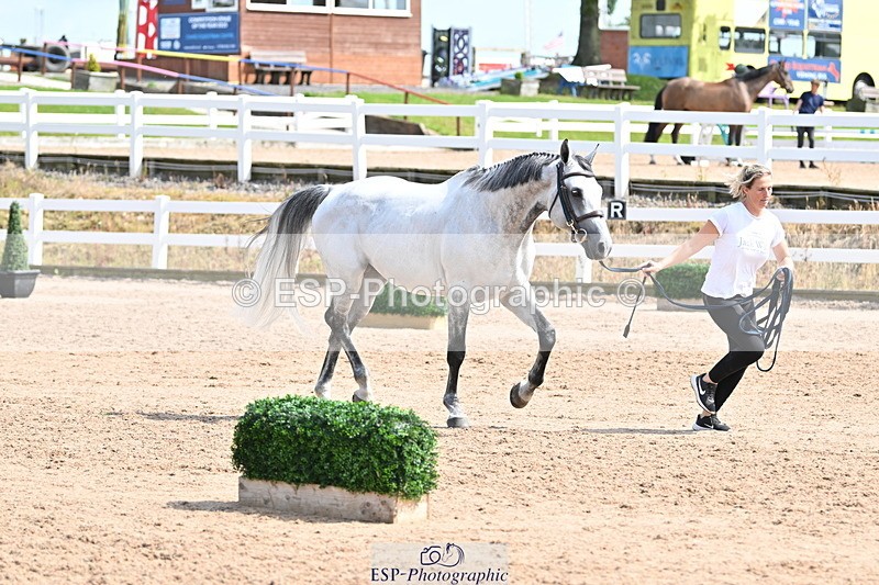 240717A-153120-02864 - Trot Up 3pm to 4pm