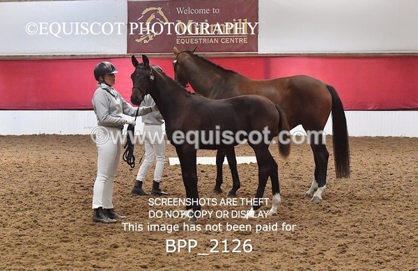 BPP_2126 - AFTERNOON 12.30 - 3.30PM