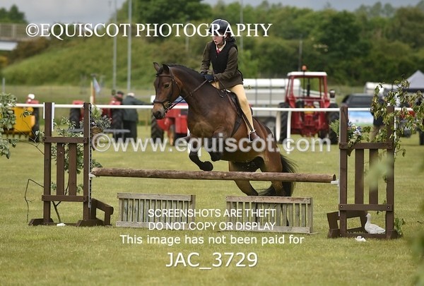 JAC_3729 - 75CM WORKING HUNTER