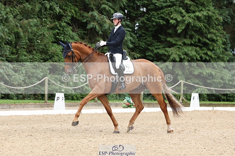 240810-155507-04118 - 208-Tom.Carter-Rubin.Regal