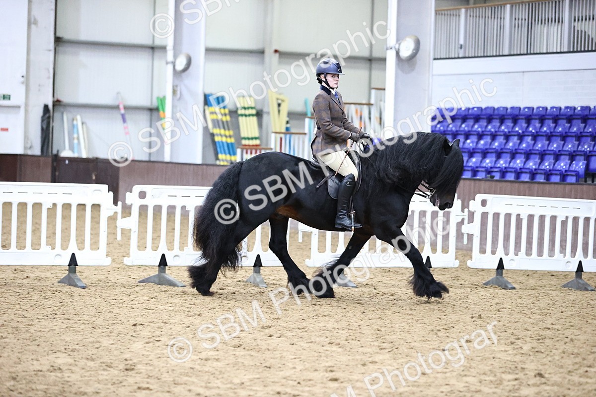 SBM_6540 - Class 43 - Ridden Native Breeds