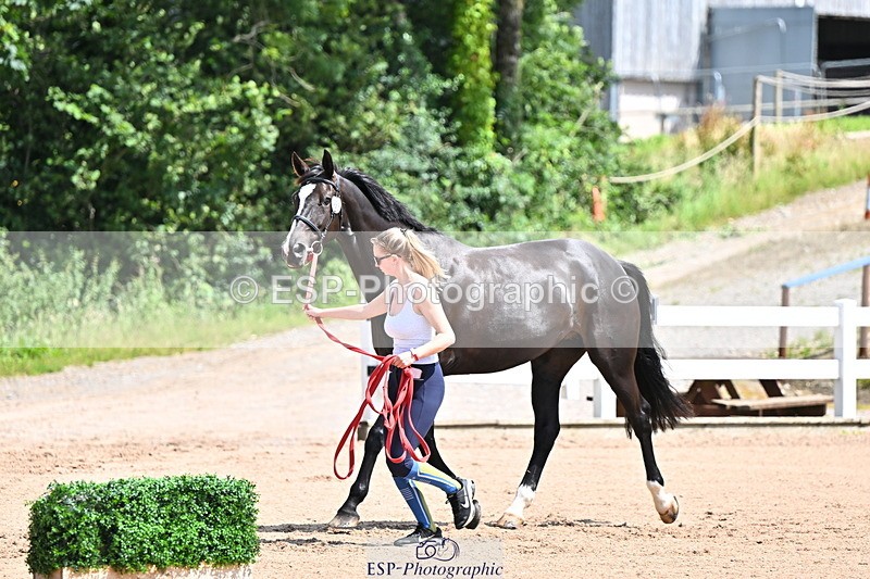 240718A-105242-01060 - Trot Up 11am to 12pm