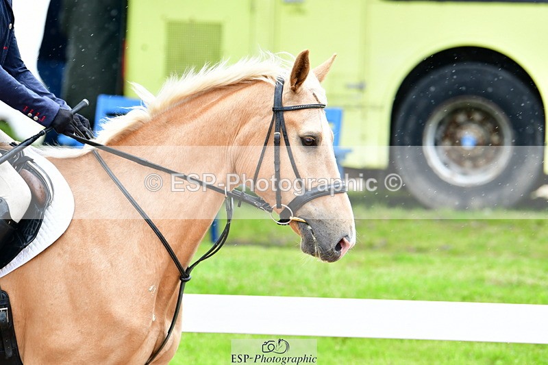 240526A-120357-07589 - Cls 31 85cm National Am Qualifier