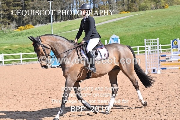 BPP_2019 - CLASS 3 - FRI - Senior British Novice/90cms Open
