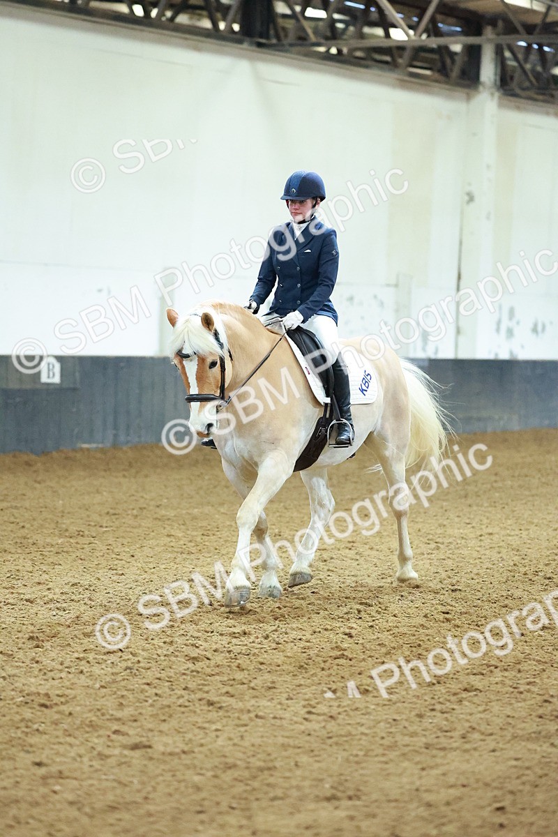 SBM_003902 - Novice 2