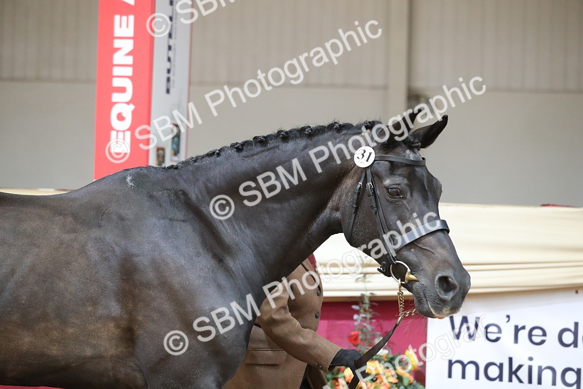 SBM_04292 - Class 7R Regional - IH Diamond