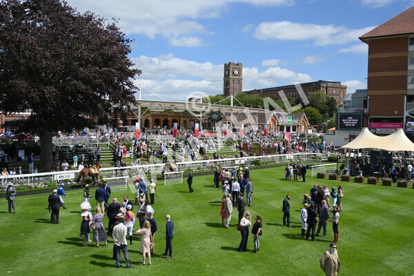 yr12062021r2-12 - Race 2 2.35pm The JCB Stakes