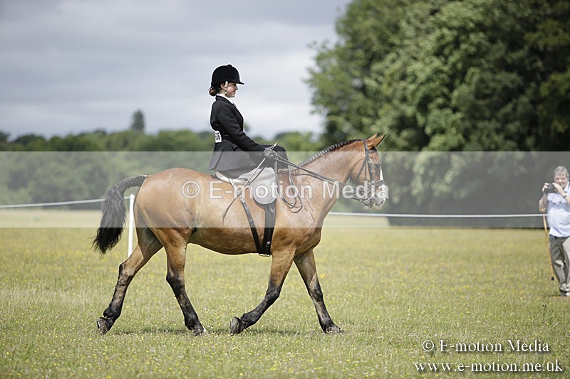 BVR160717-1990 - Side Saddle Classes 16/07/17