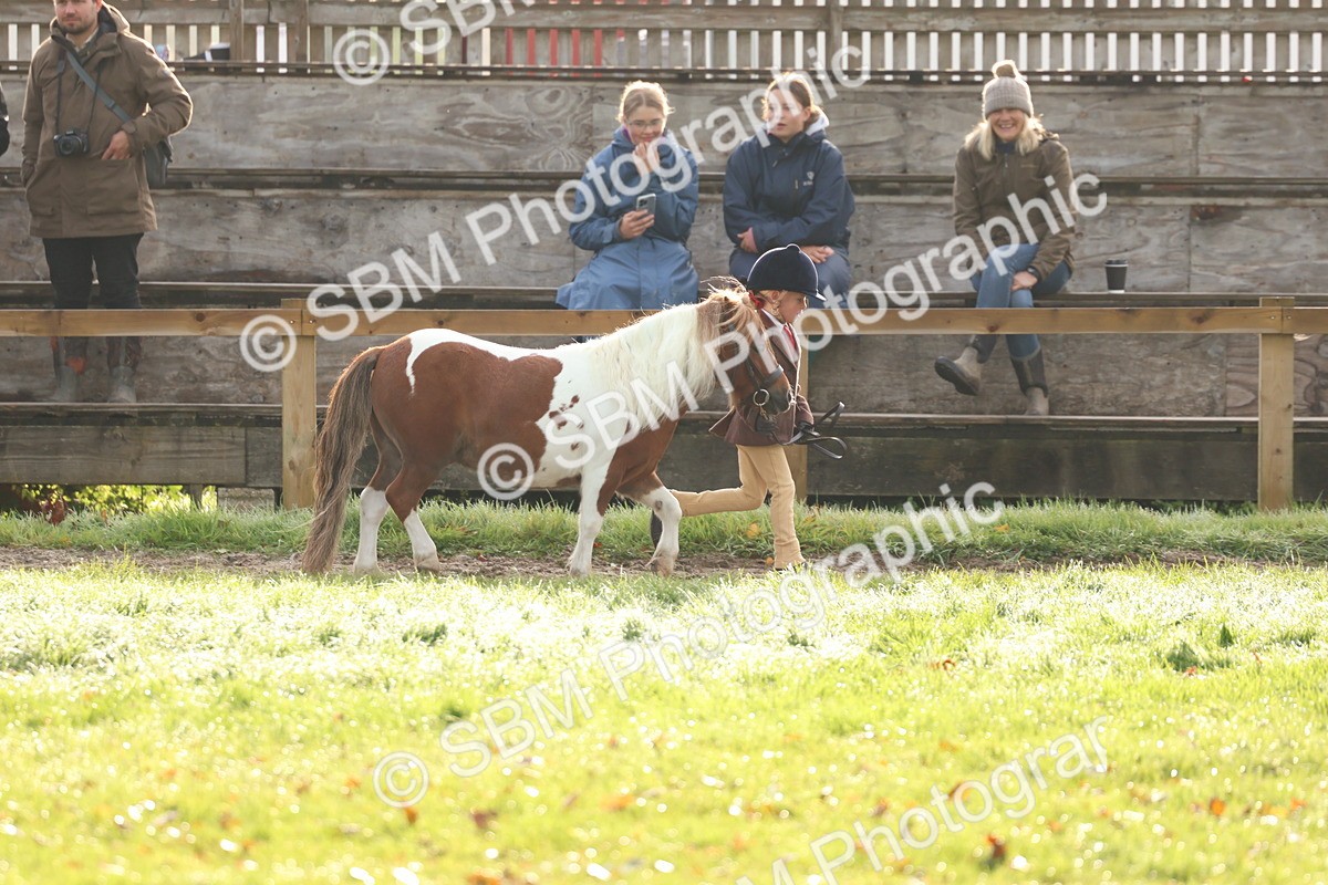 SBM_54769 - S39 - Starters In Hand Showing