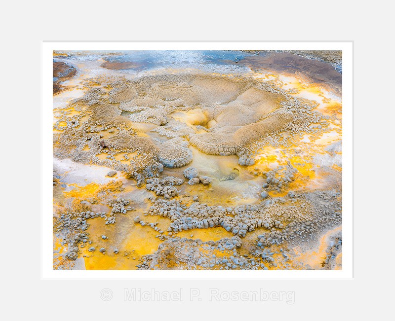 Papillon - Natural Abstracts