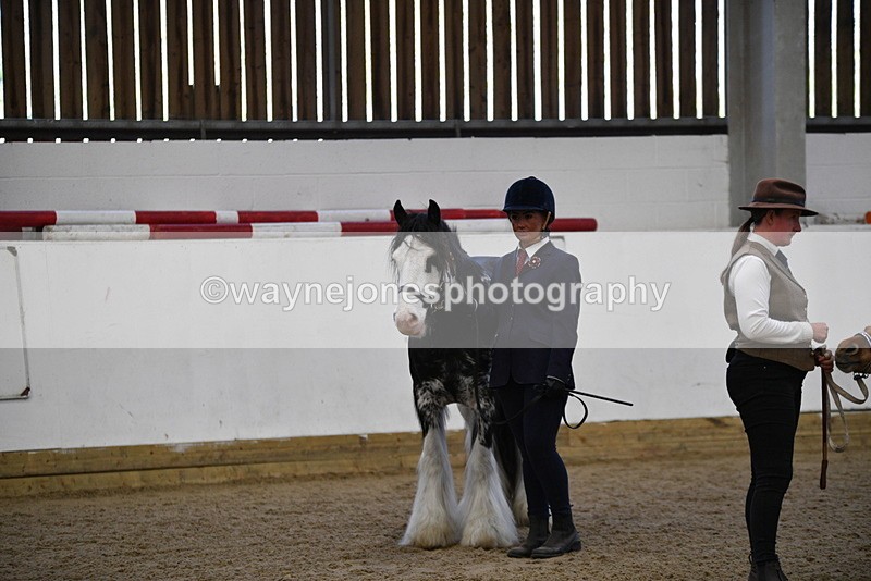 WJ5_5080 - Class 7 In hand coloured / odd coloured