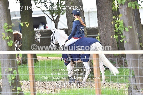 BPP_0056 - RHS 2019 Selection - *Just some random spectator shots so Lucky Dip if you are there!