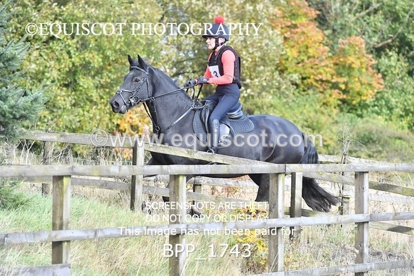 BPP_1743 - CLASS 3 - 80CM