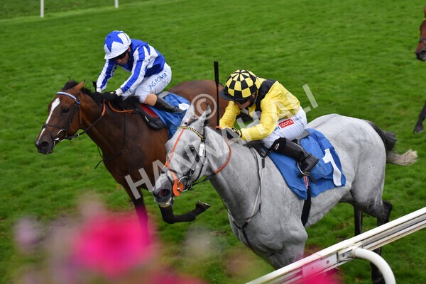 yr09102021r6-19 - Race 6 4.25pm Coral Best Odds Guaranteed Handicap