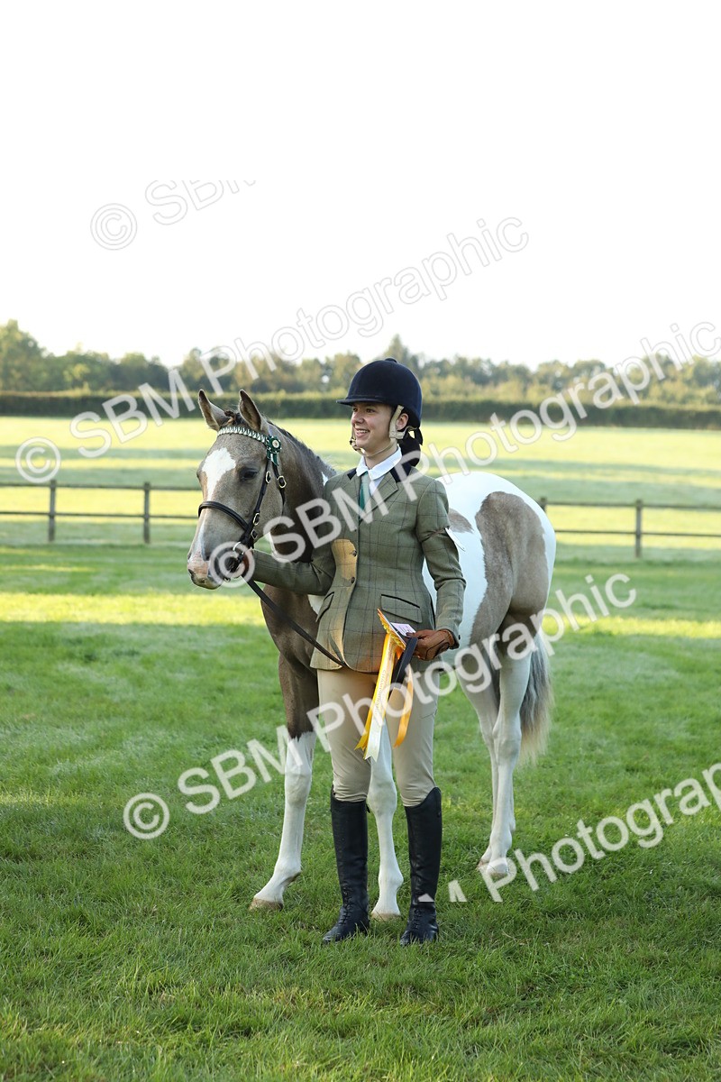 SBM_57870 - S42 - Youngstock