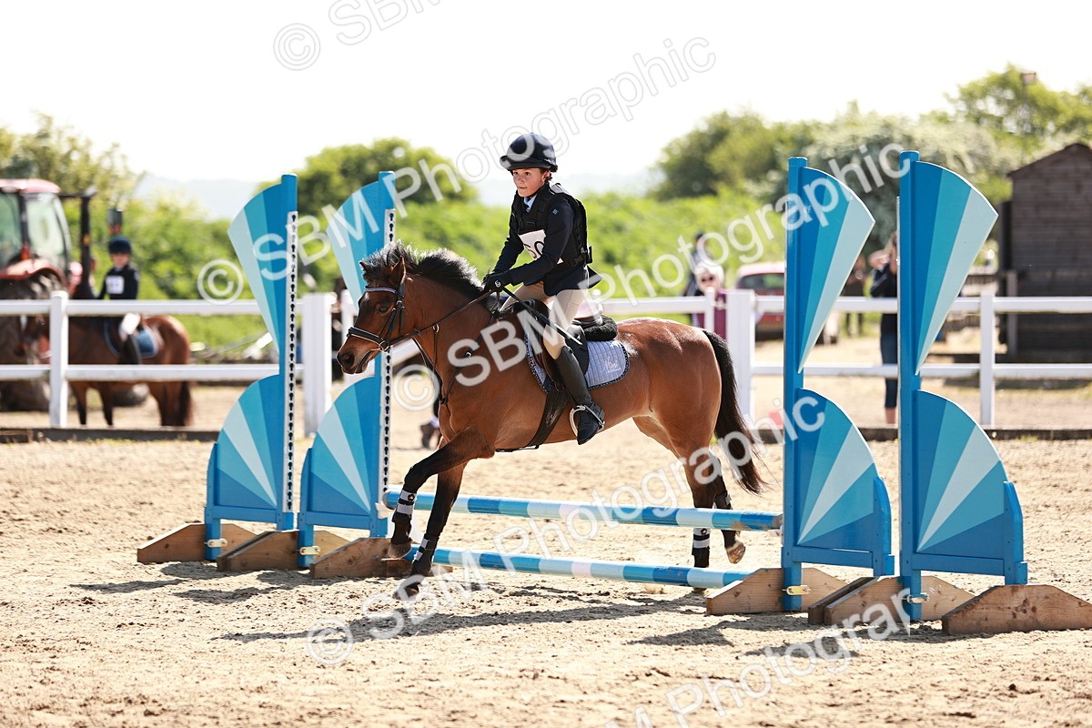 SBM_006822 - Class 2 - 50cm