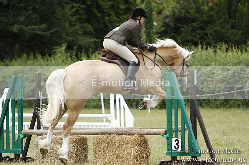 BVR160717-108 - Ring 3 BVRC Show 16/07/17