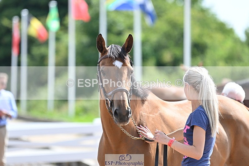 240717A-152313-02803 - Trot Up 3pm to 4pm